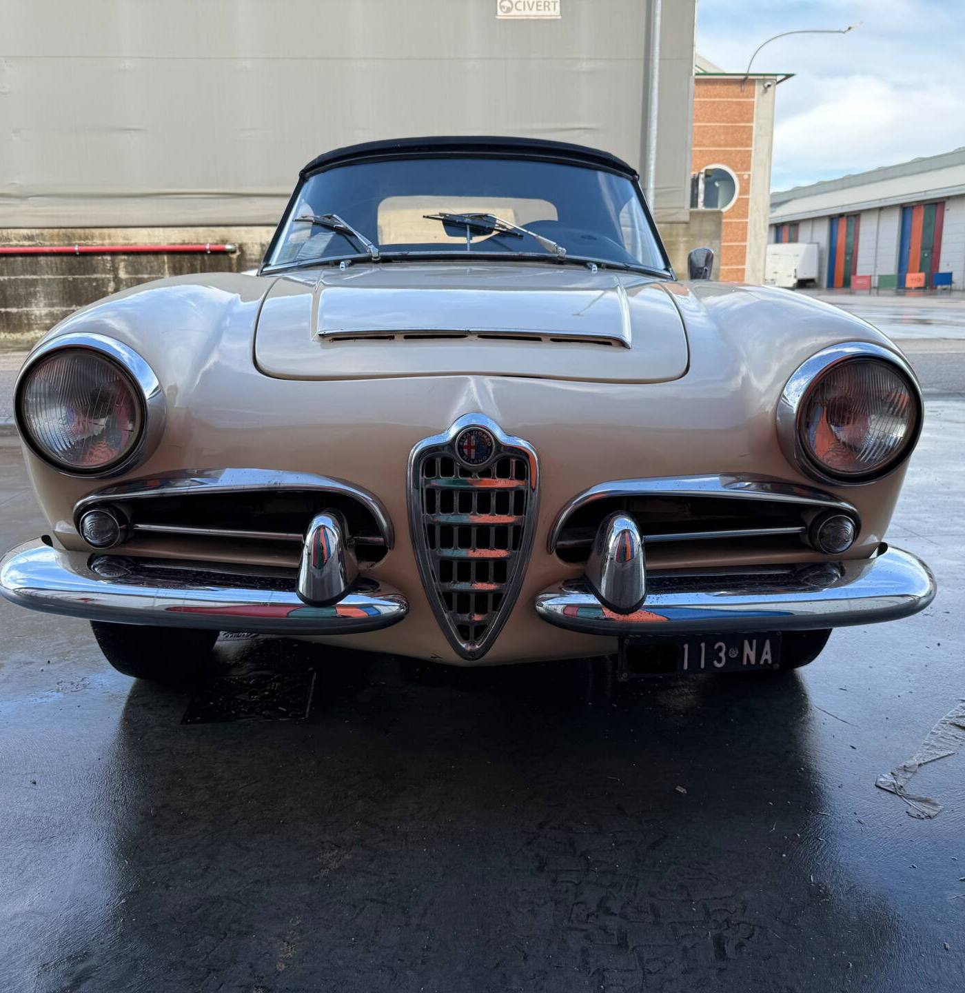 1962 Alfa Romeo Giulia 1600 Spider