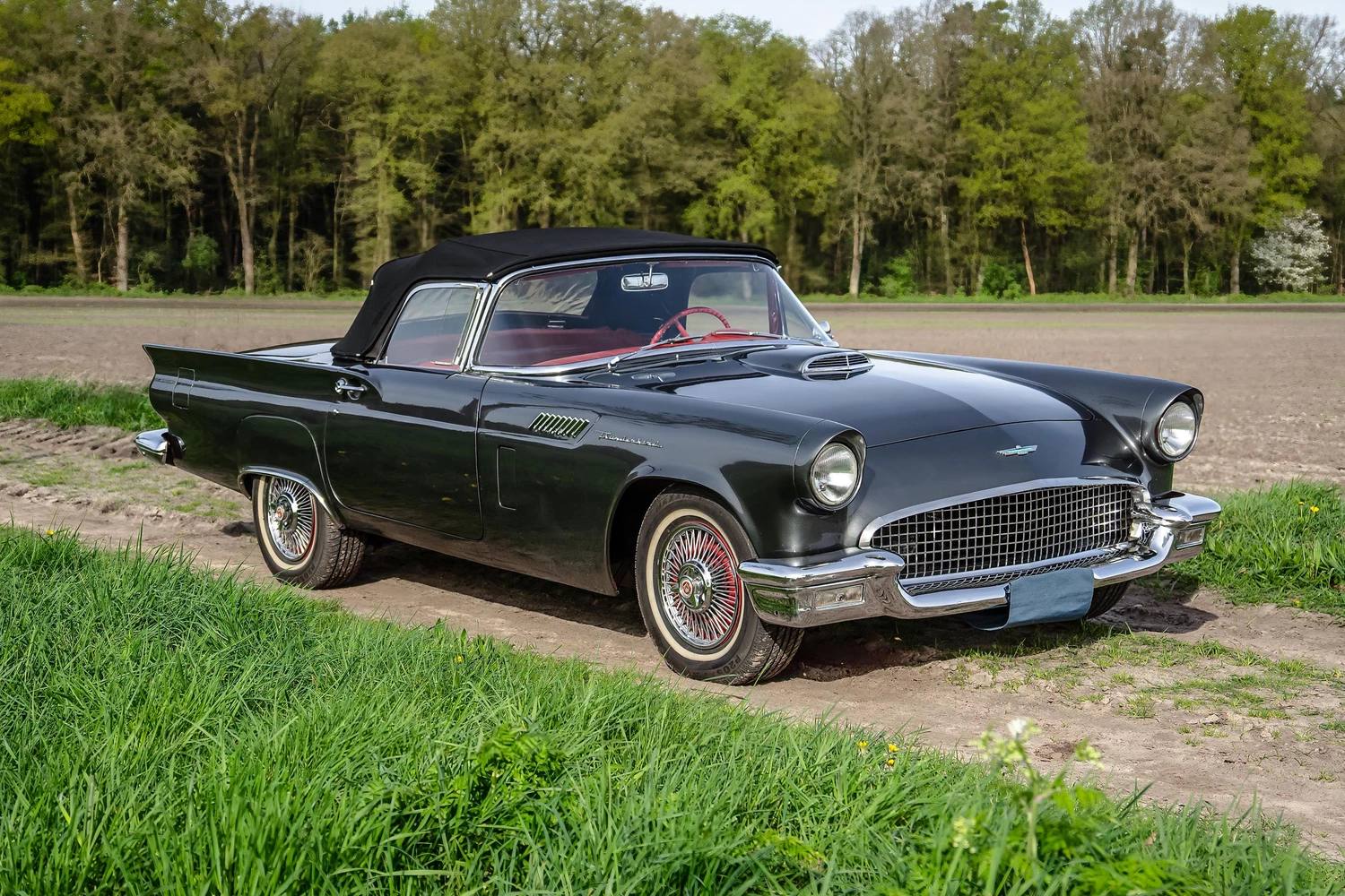 1957 Ford Thunderbird — image 1 of 266
