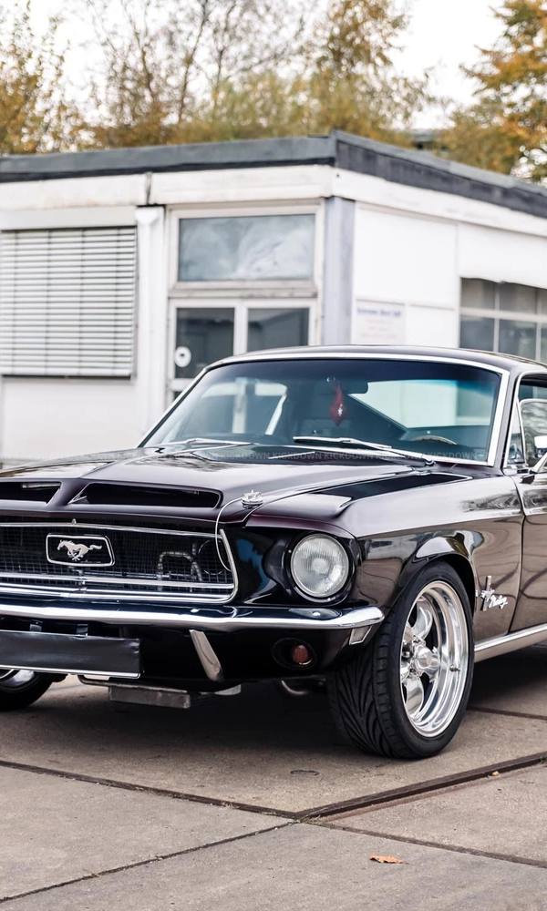 Mustang Fastback