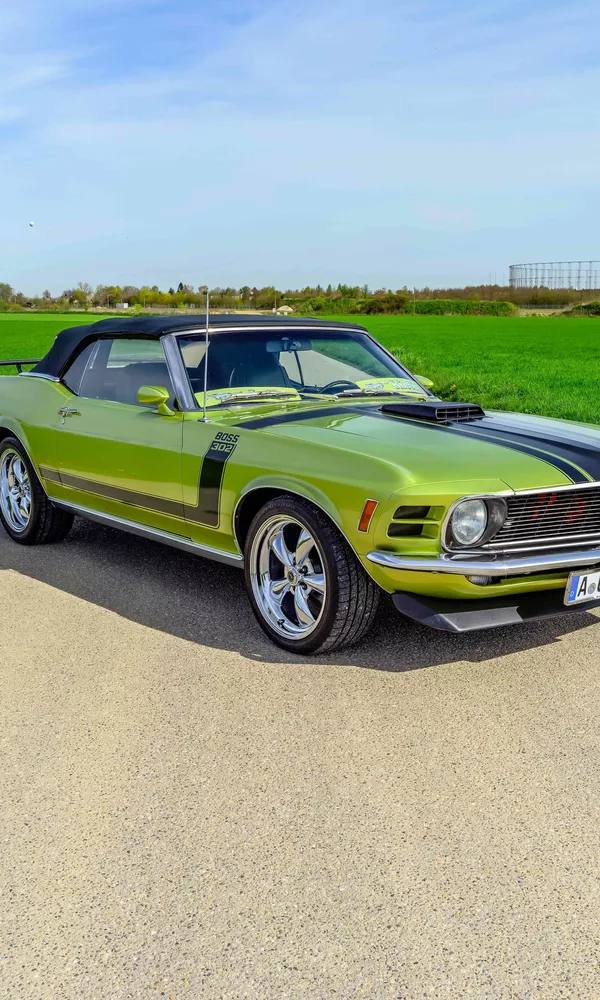 Mustang Boss 302